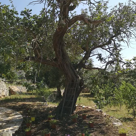 Eremo Di San Giusto - Trullo Vista Mare אוסטוני